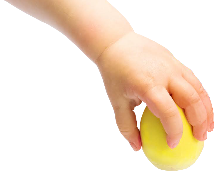 Egg Chalk
