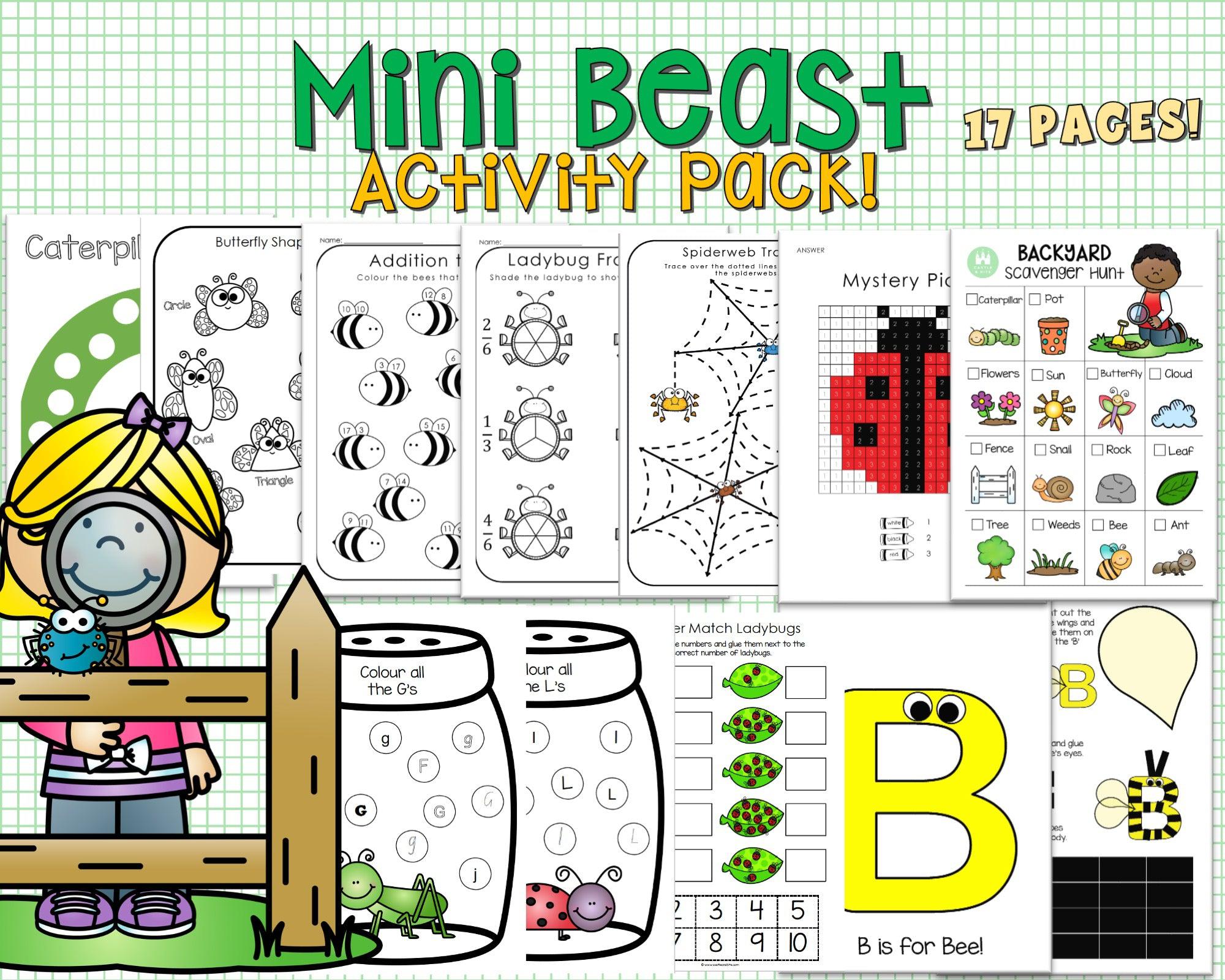Mini Beasts Box