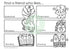 Get To Know Your Classmates Teaching Resource
