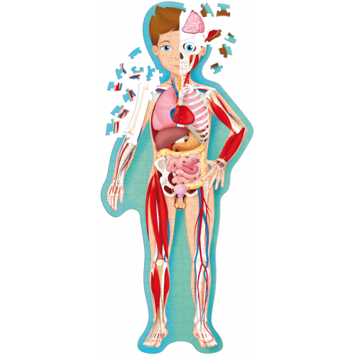 Sassi Travel, Learn and Explore - Puzzle and Book Set - The Human Body, 205 pcs