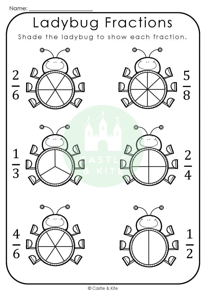 Ladybug Fractions Teaching Resource