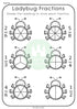Ladybug Fractions Teaching Resource