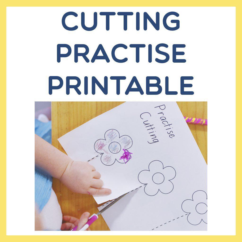 Cutting Practise