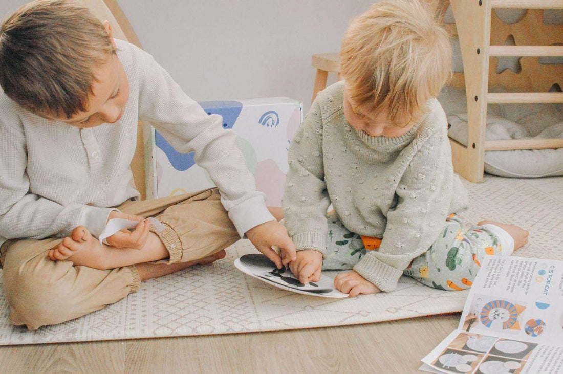 Sibling Craft Box (Two of the same theme)